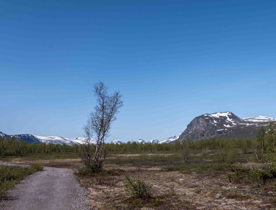 Dag Hammarskjoldleden
