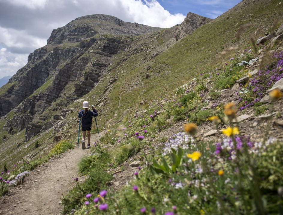 Ezelwandeling Mercantour