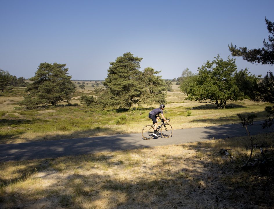 Veluwe Fietsroute