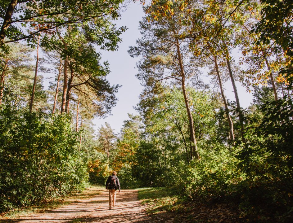 Nationaal Park Hoge Kempen