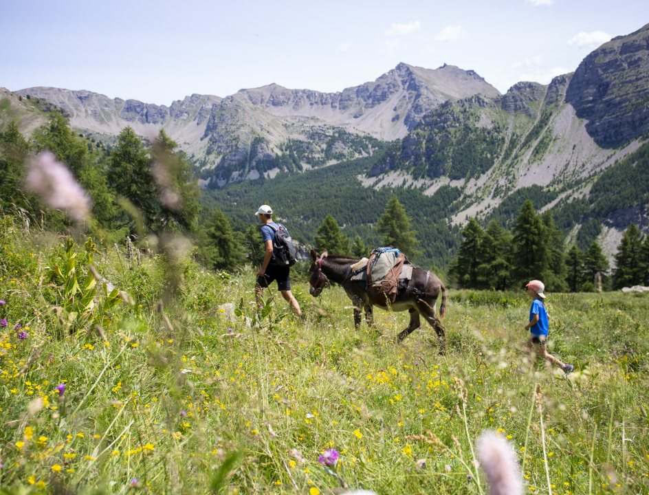 Mercantour Family Special