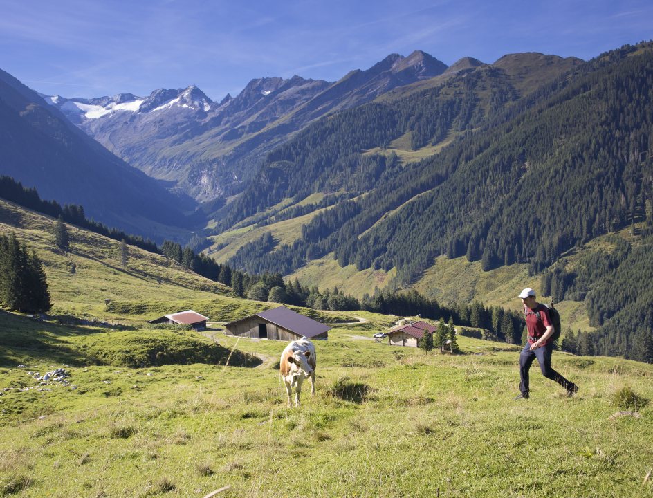 Wandelen in Hochtal Gerlos Schönbichl Runde