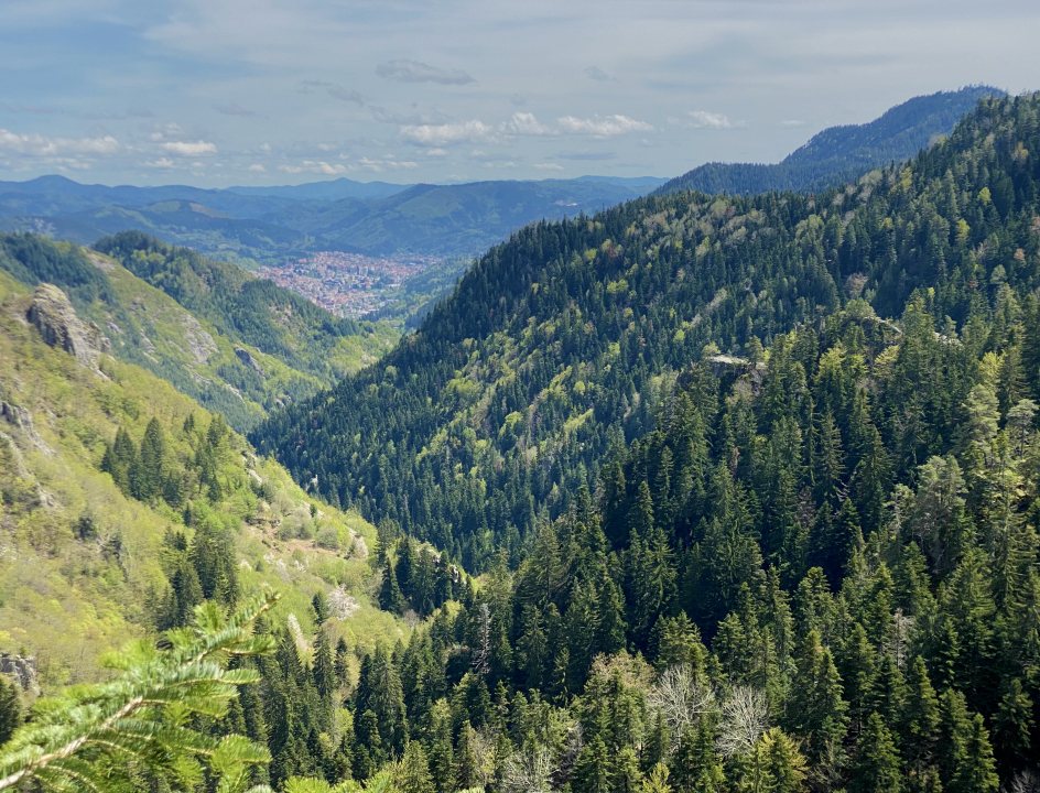 Bulgarije Rodopen Waterfalls