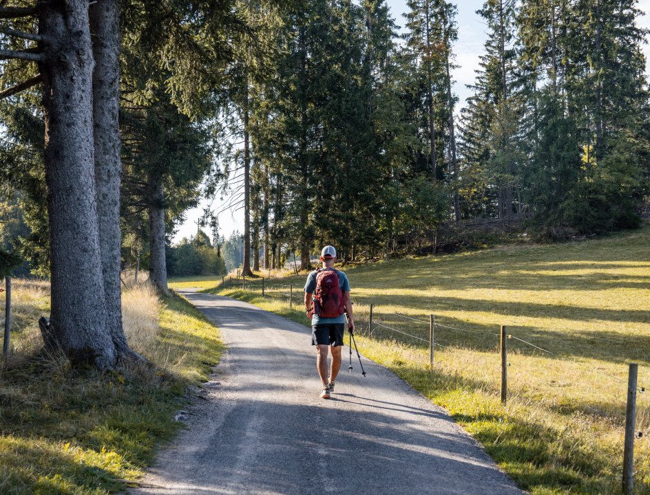 Schluchtensteig Zwarte Woud