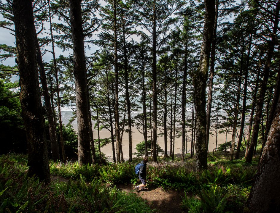 Oregon Coast Trail