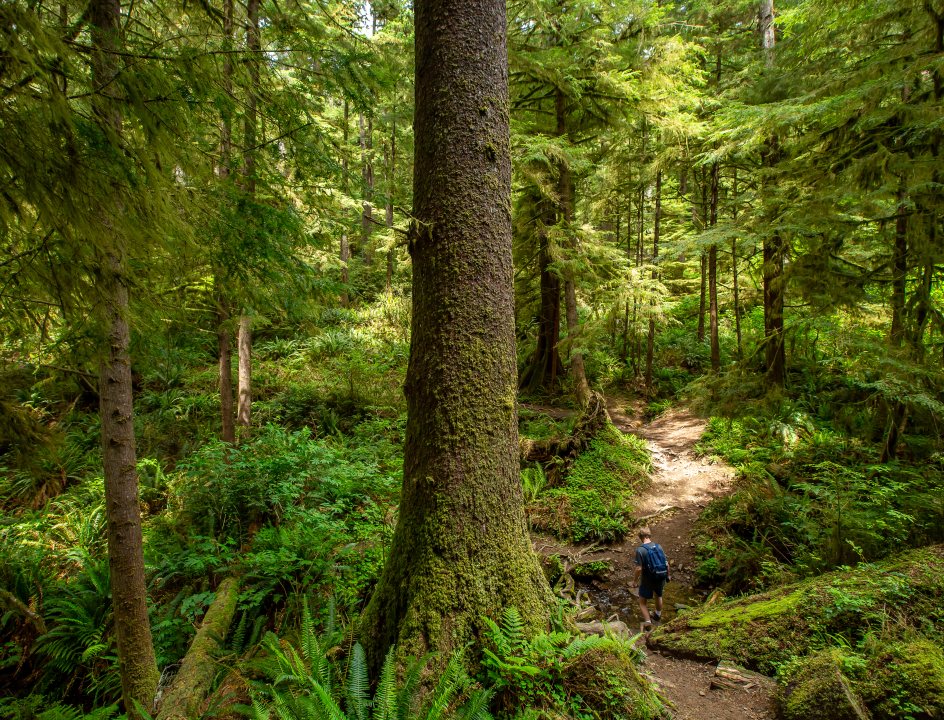 Oregon Coast Trail