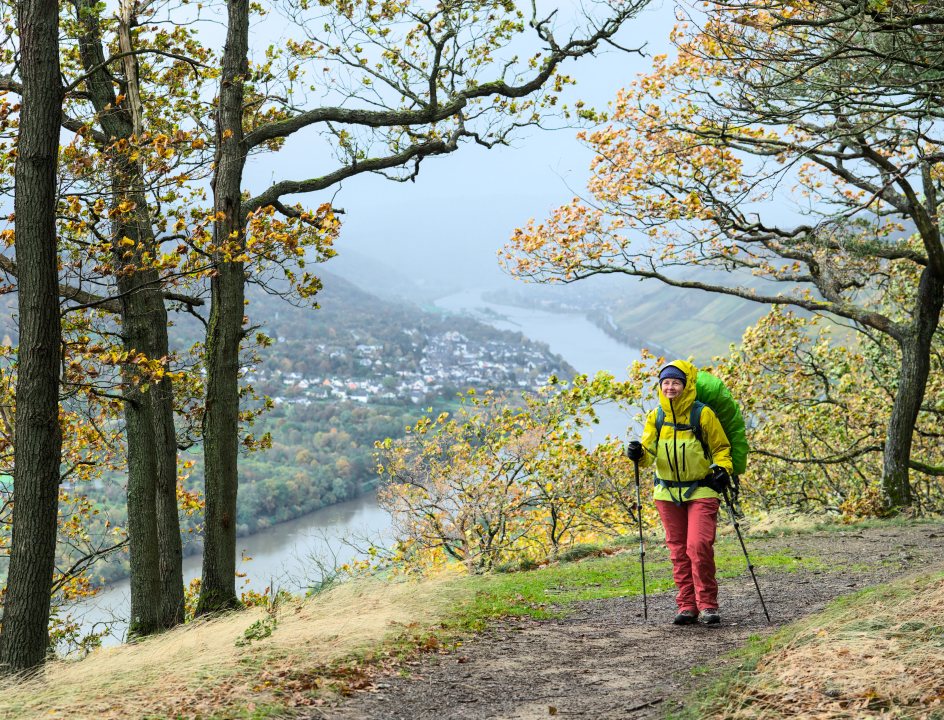 Moselsteig wandelroute