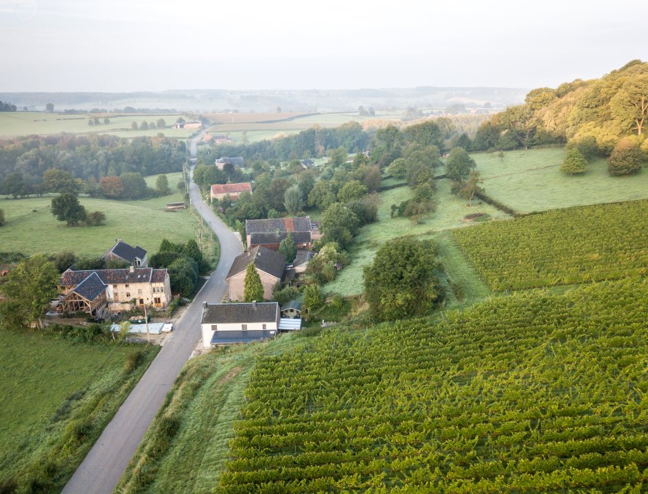 Wandelen Vlaanderen