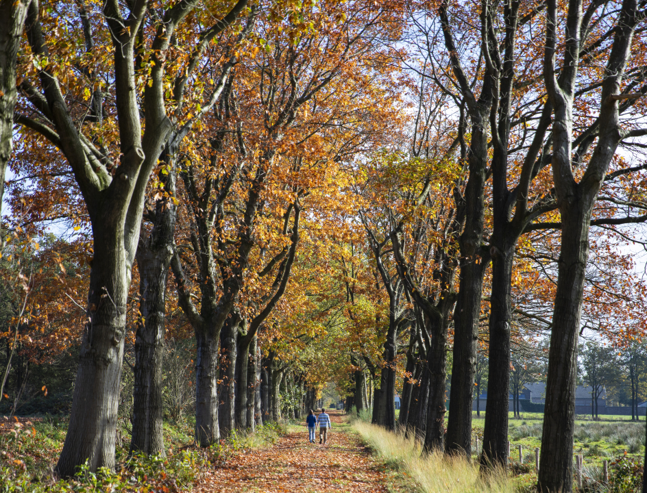Kloosterwandelingen Brabant