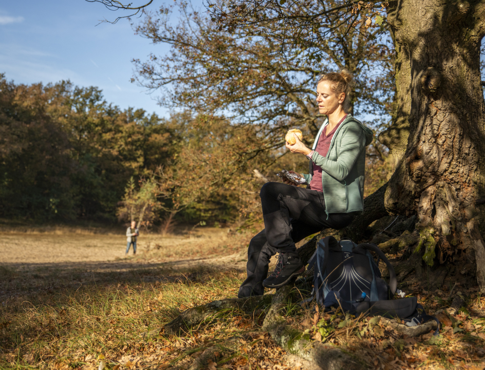 Kloosterwandelingen Brabant