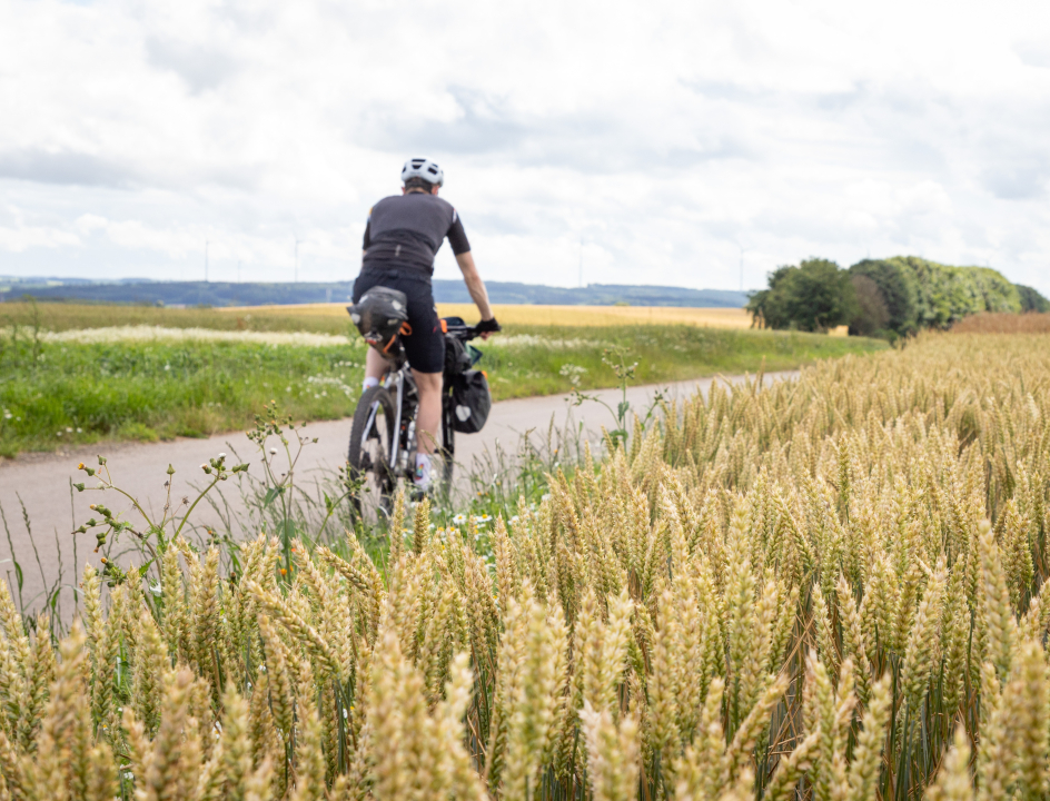 Vennbahn Radweg