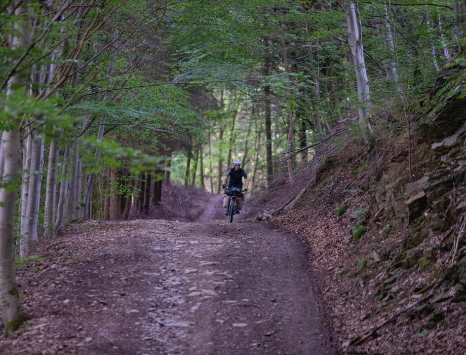 Vennbahn Radweg