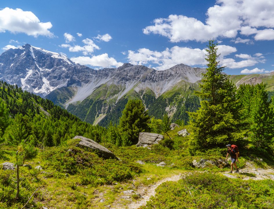 Ortler Höhenweg 