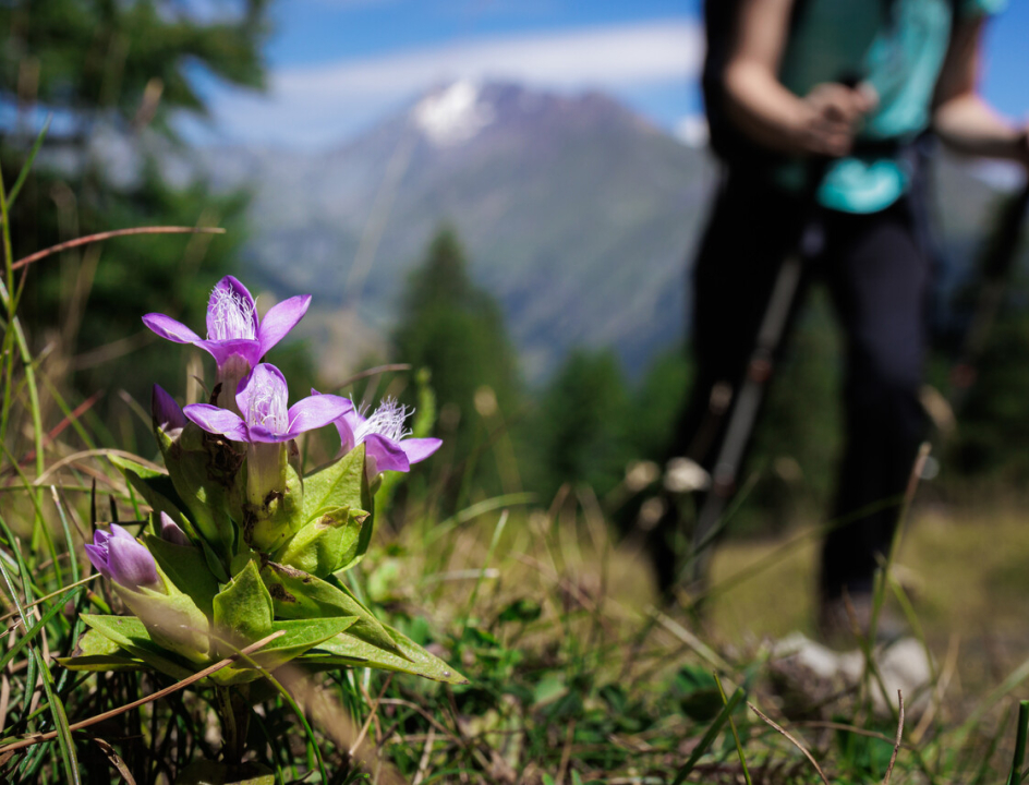 Tour du Mont Fallère