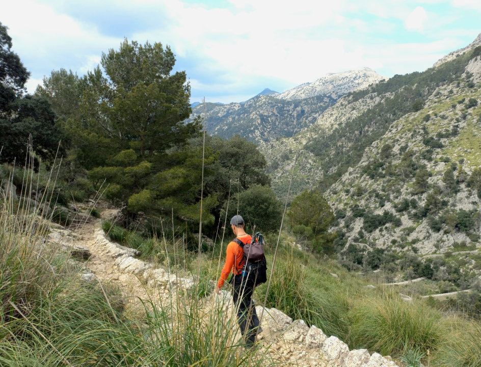 Wandelen Mallorca
