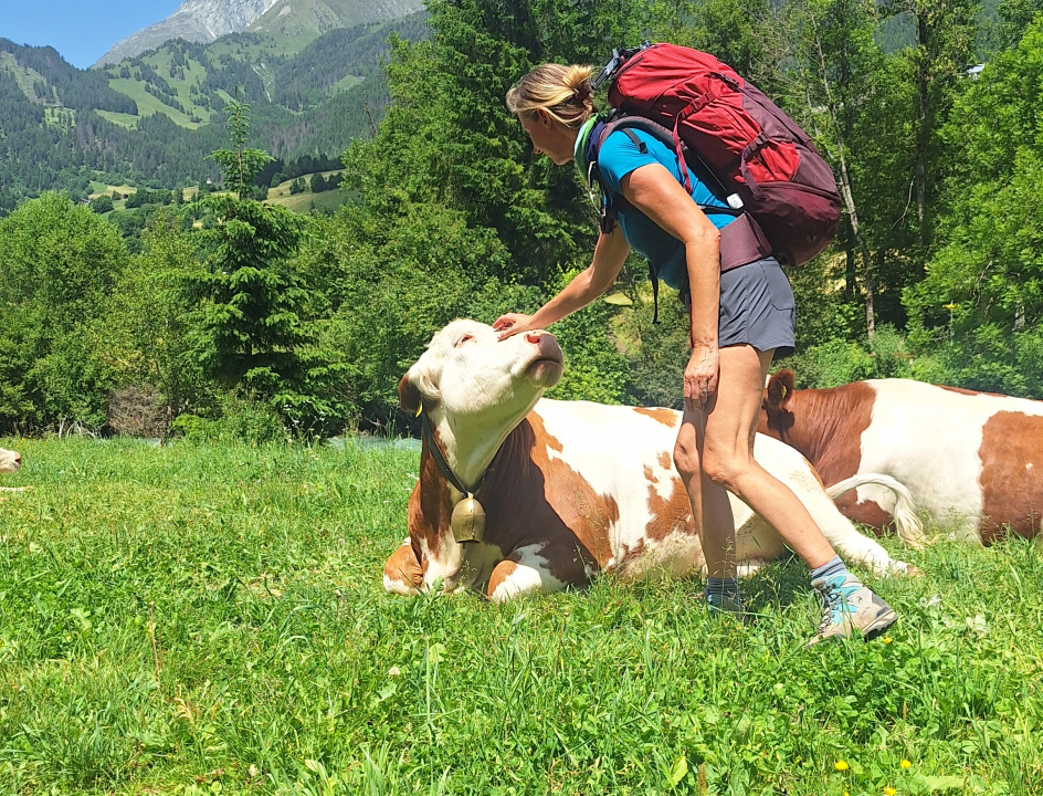 Isel Trail Oostenrijk