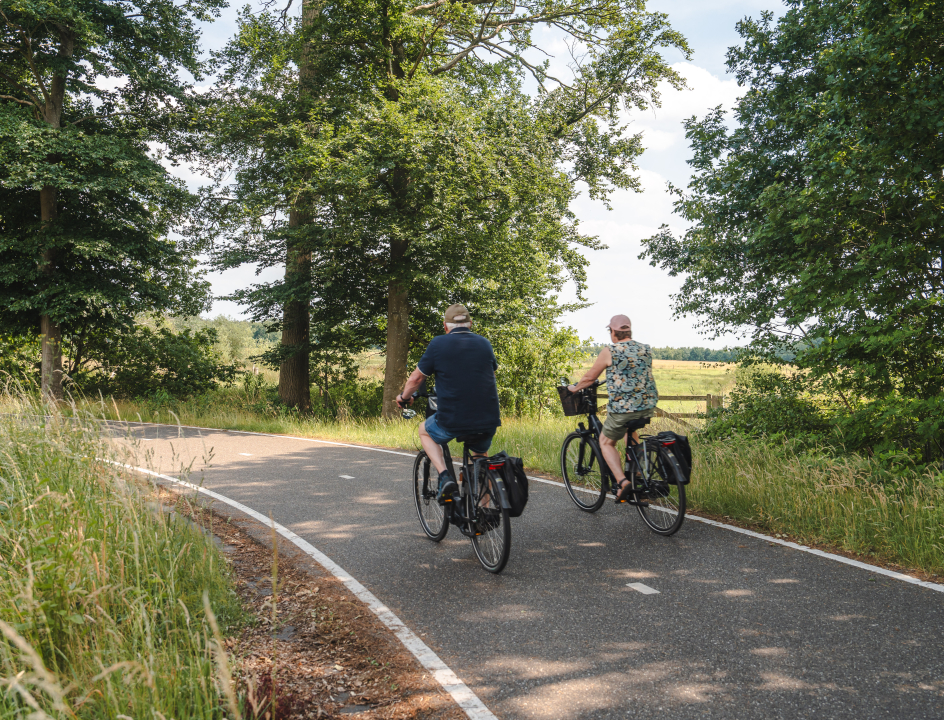 Handelsroute Chaamse Bossen