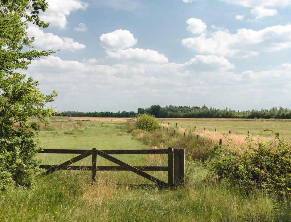 Handelsroute Chaamse Bossen