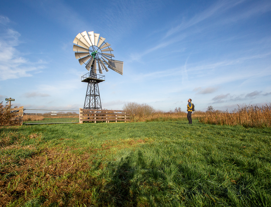 Winterwandelen Friesland