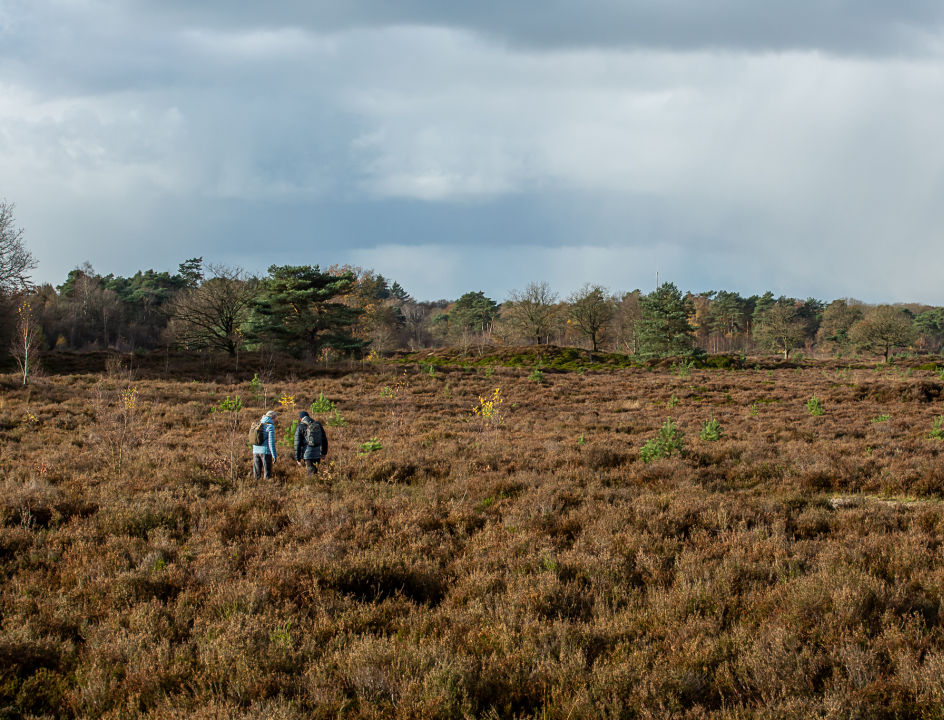 Winterwandelen Friesland