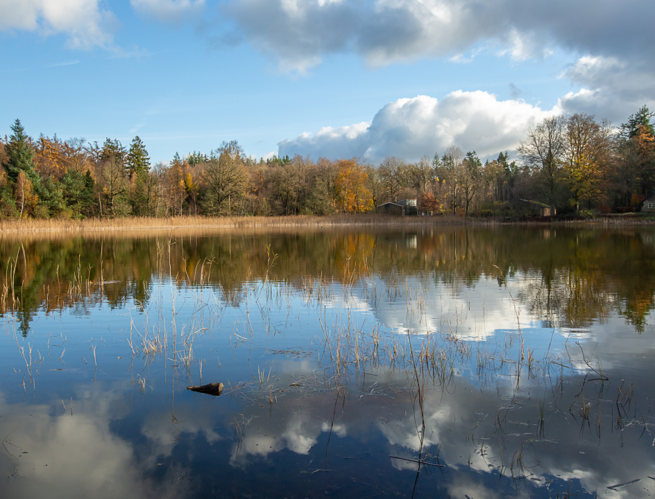 Winterwandelen Friesland