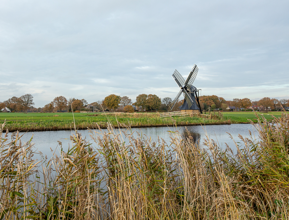 Winterwandelen Friesland