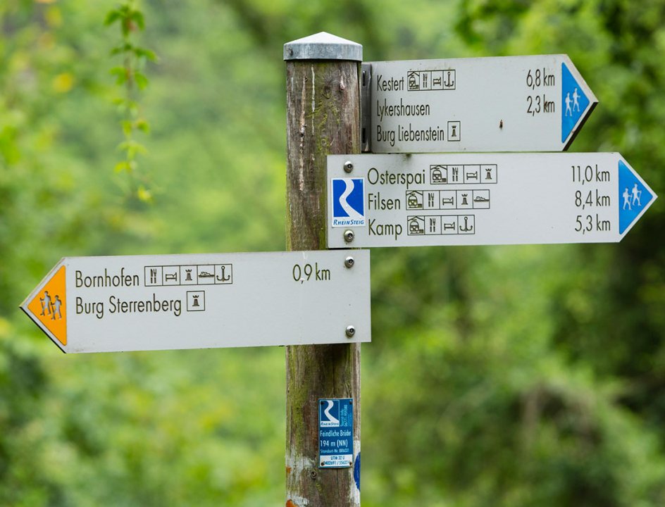 Rheinsteig-3