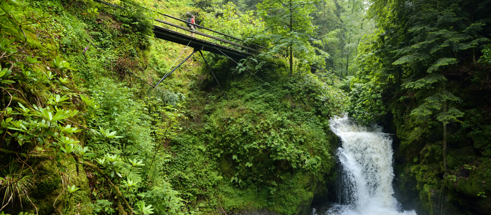 Zwarte Woud Ernst Kremers