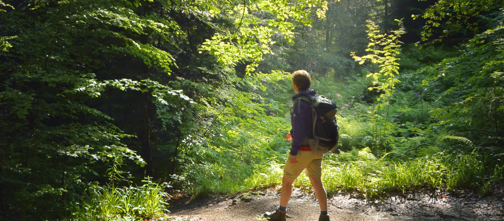 Zwarte Woud Ernst Kremers