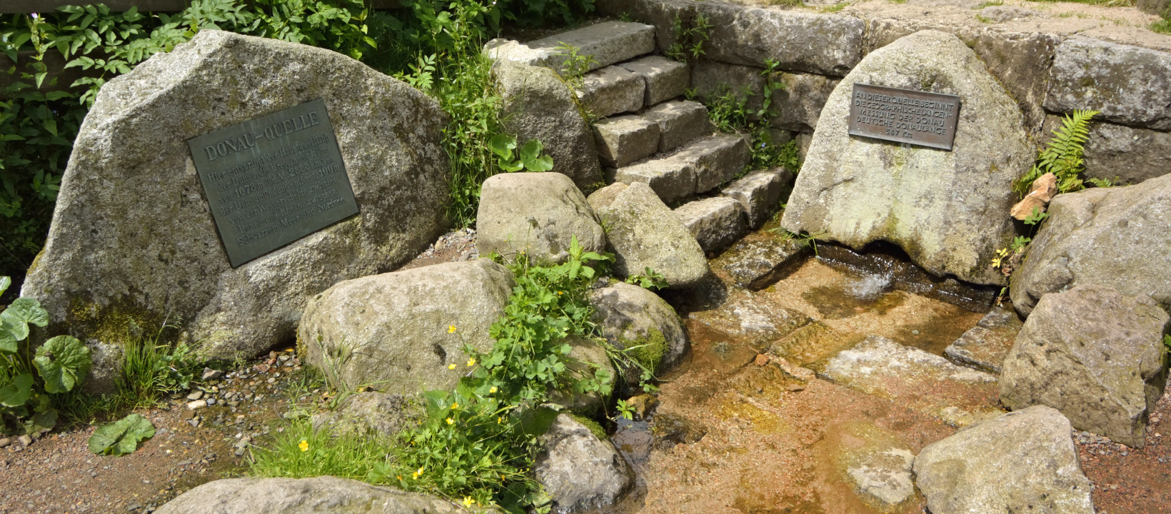 Zwarte Woud Ernst Kremers