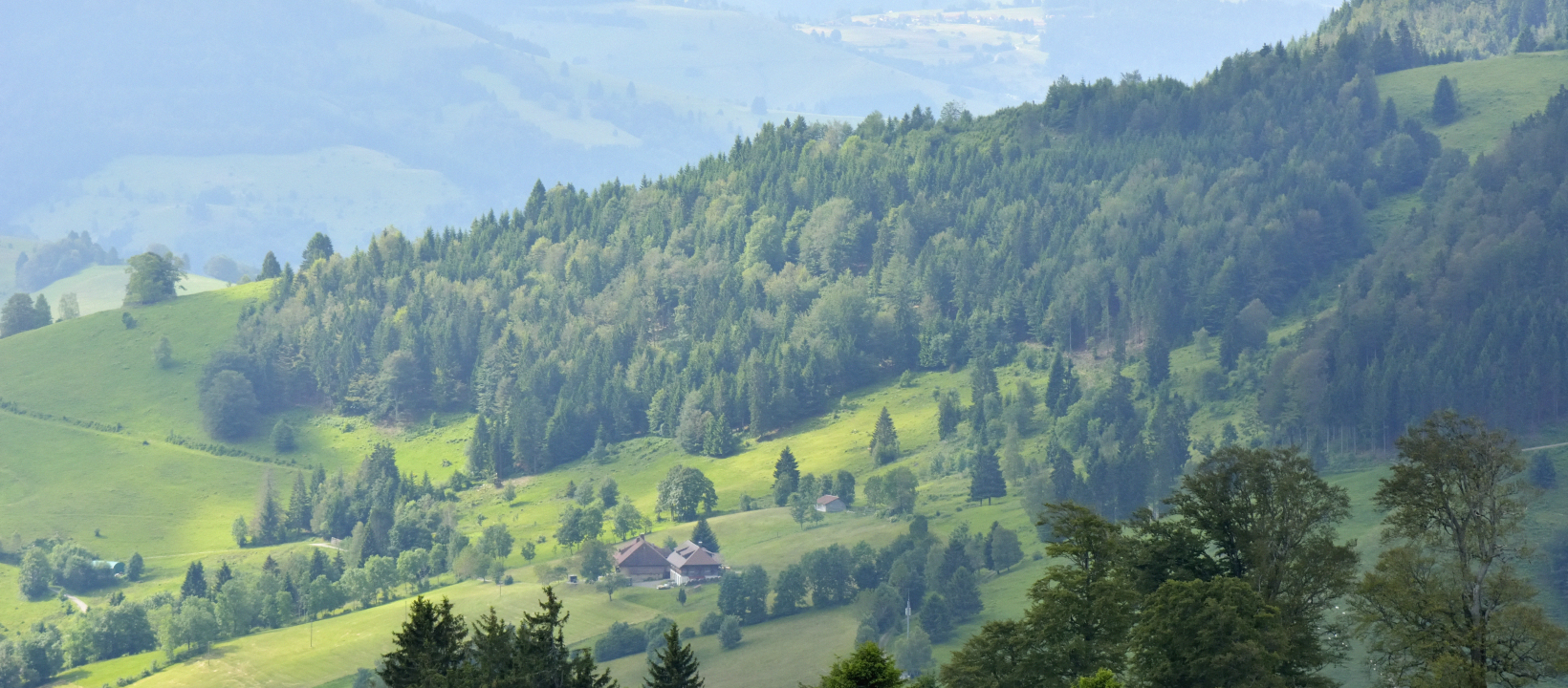 Zwarte Woud Ernst Kremers
