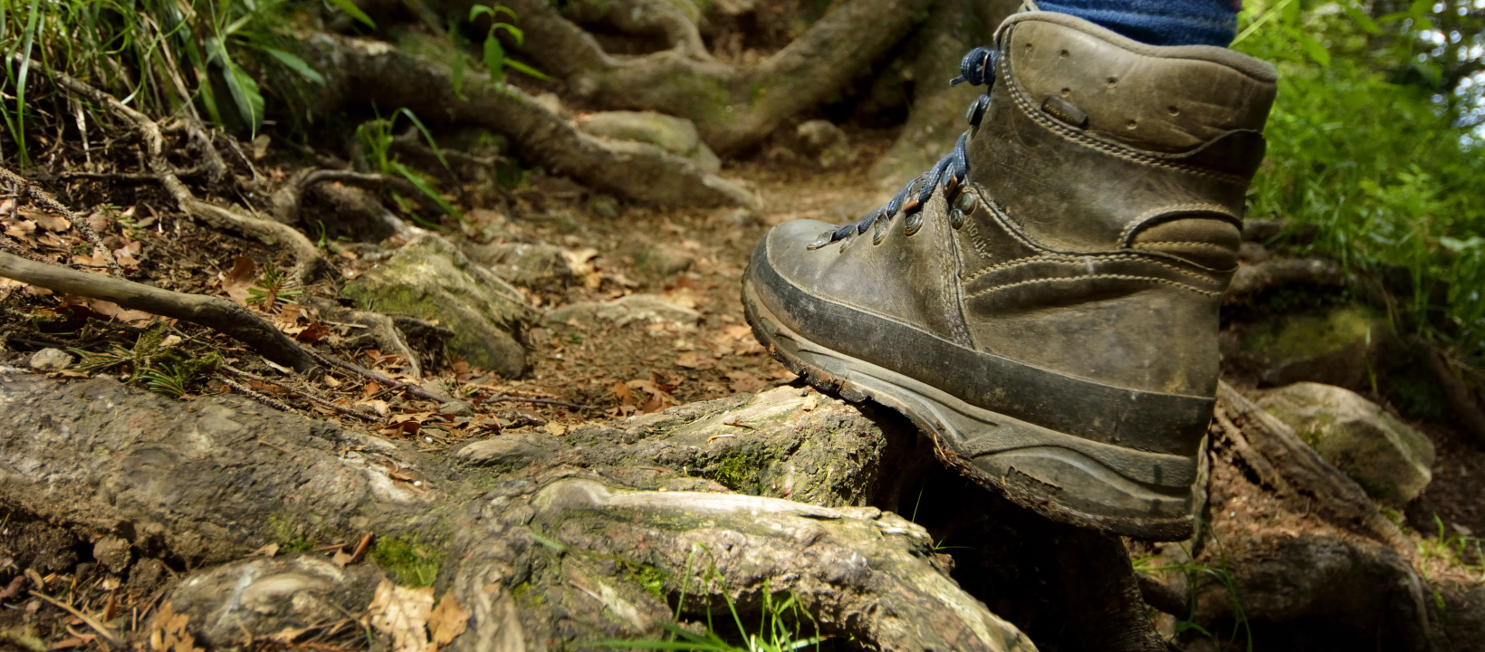 zwarte Woud Ernst Kremers