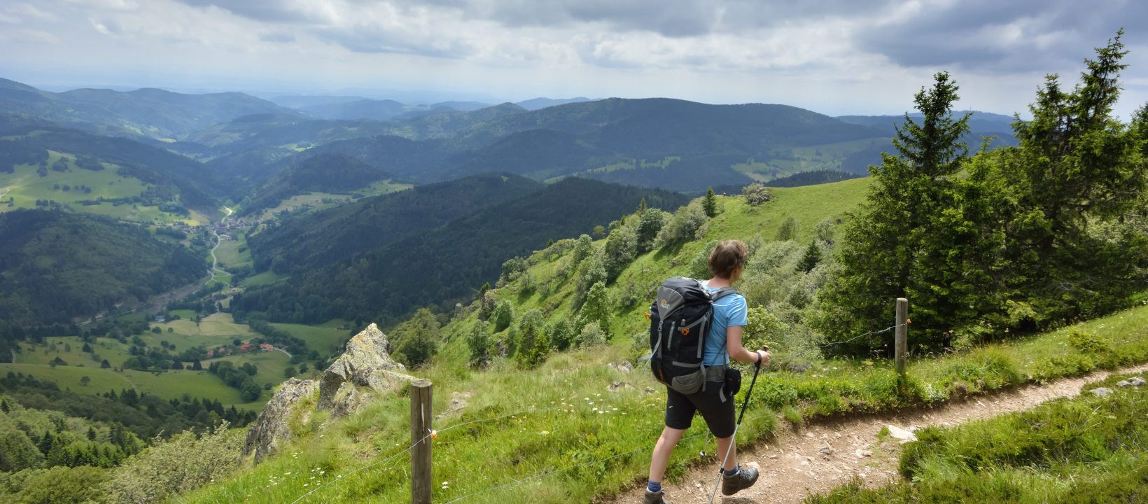 Zwarte Woud Ernst Kremers