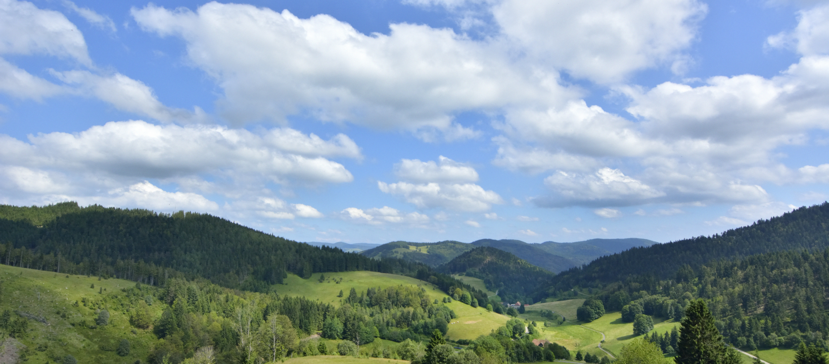 Zwarte Woud Ernst Kremers