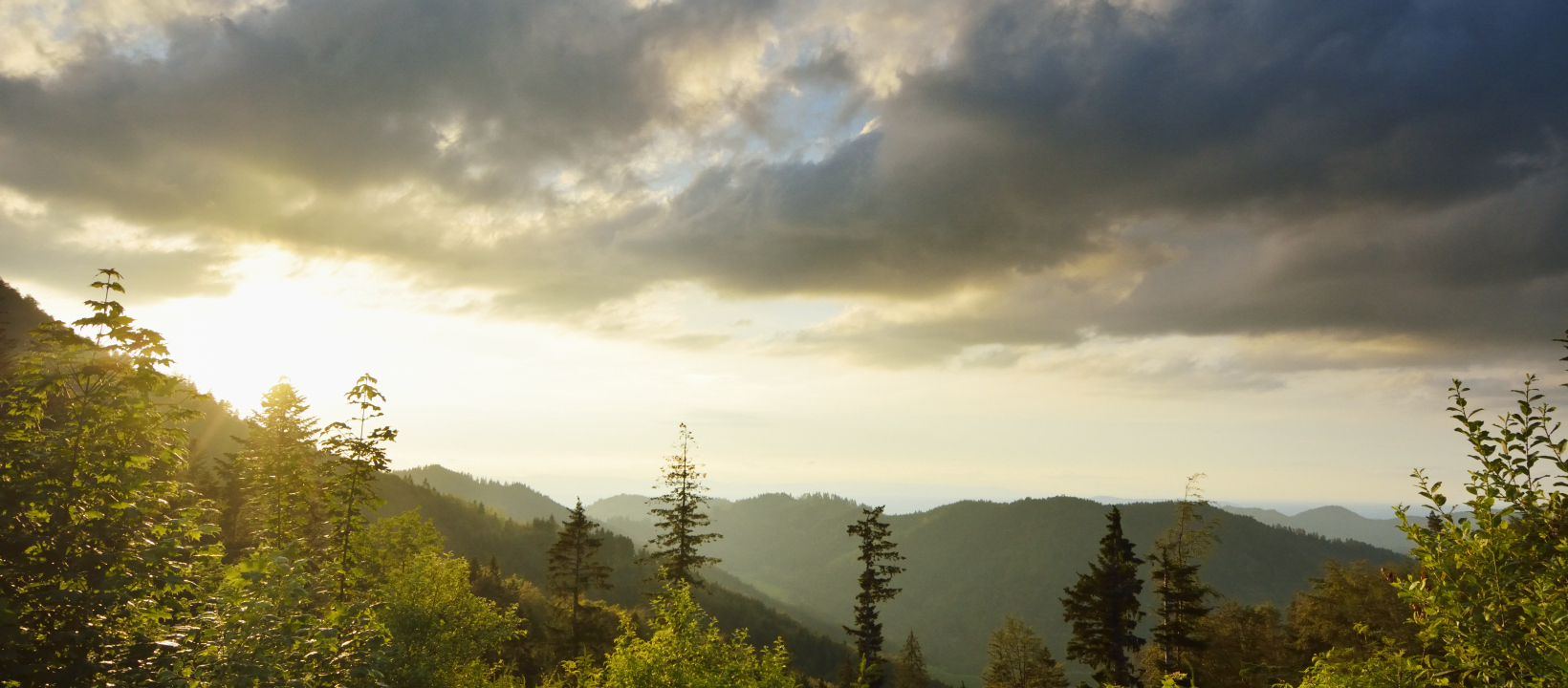 Zwarte Woud Ernst Kremers