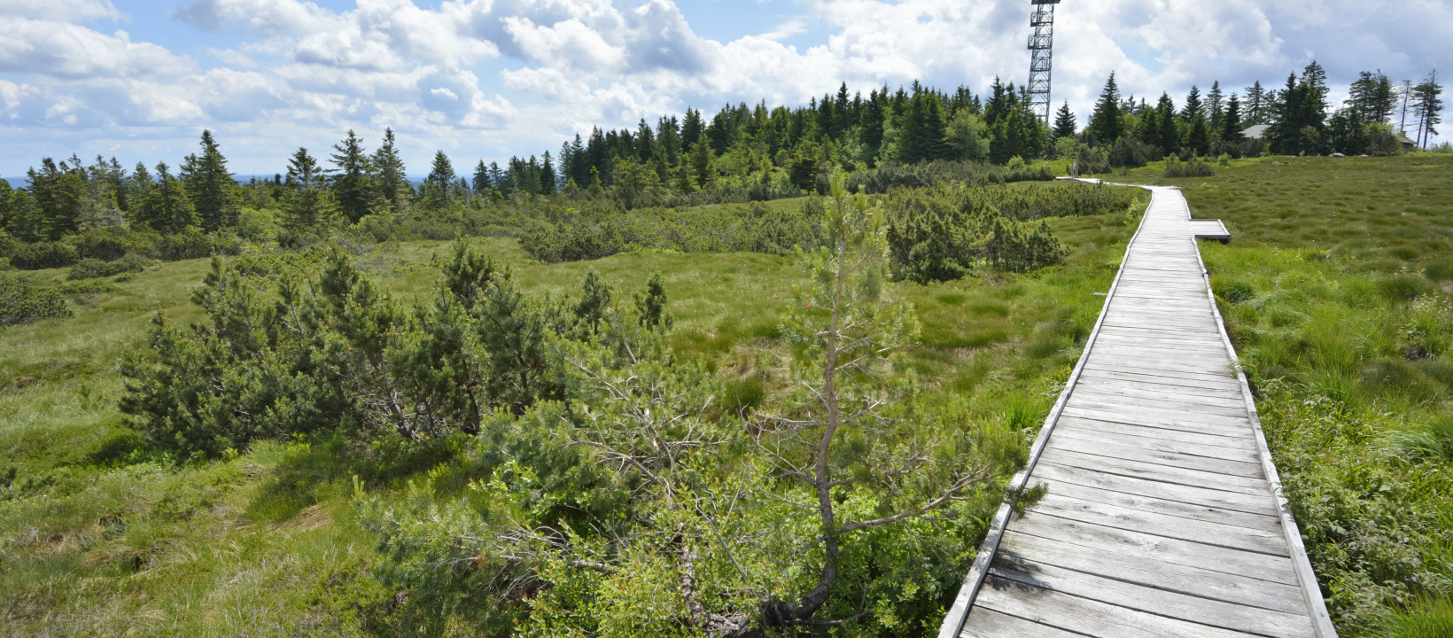 Zwarte Woud Ernst Kremers