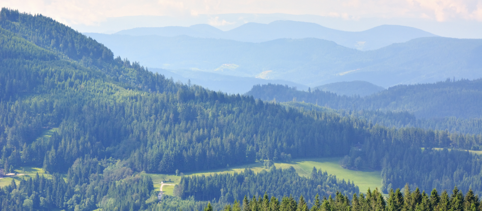 Uitzicht Hornisgrinde