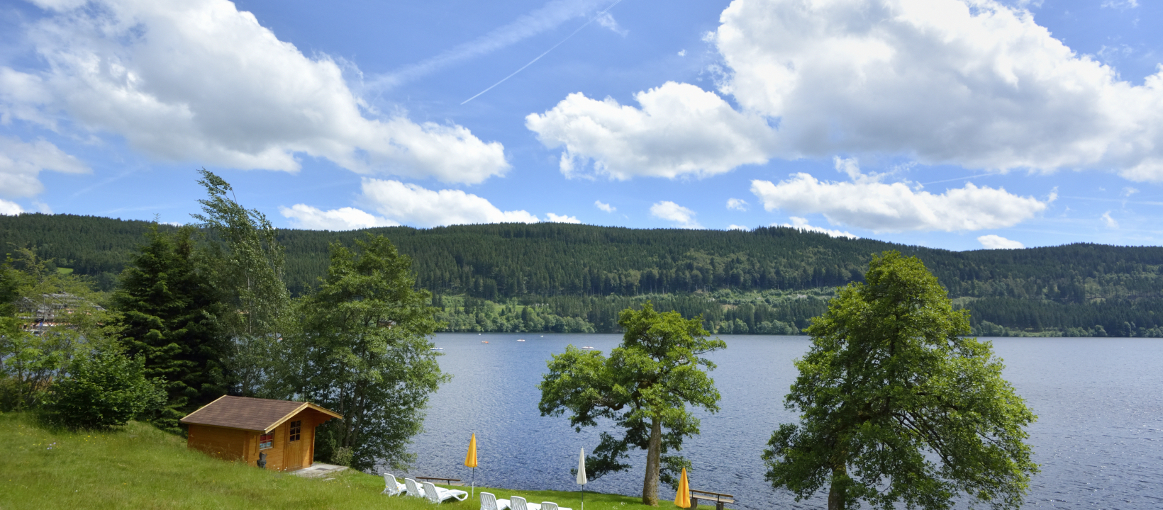 Zwarte Woud Titisee Ernst Kremers