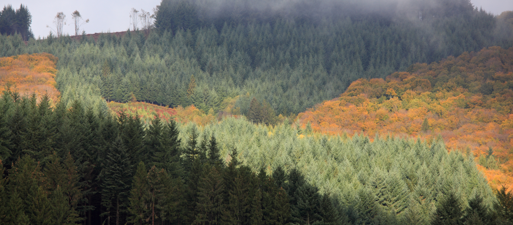 Wandelen Frankrijk Morvan