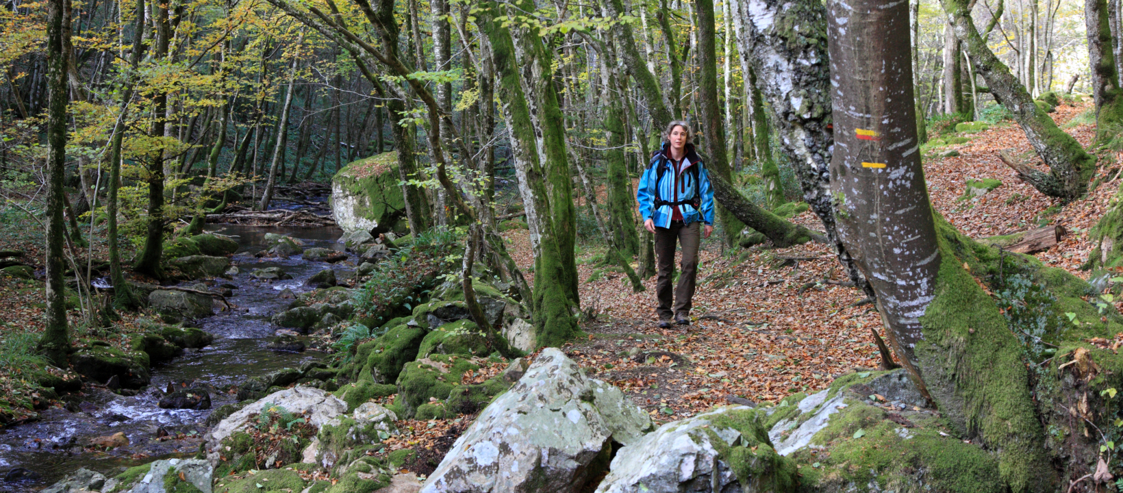 Wandelen Frankrijk Morvan