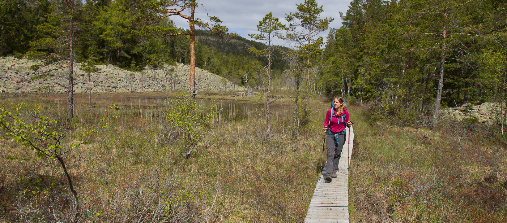 Wandelen Hoge Kust Zweden