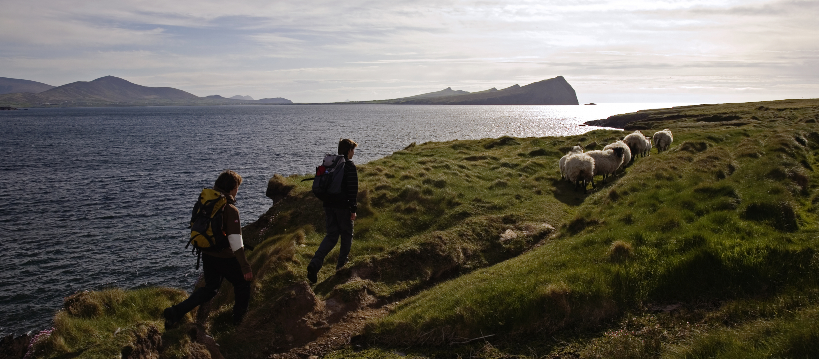 Wandelen Dingle Way Ierland