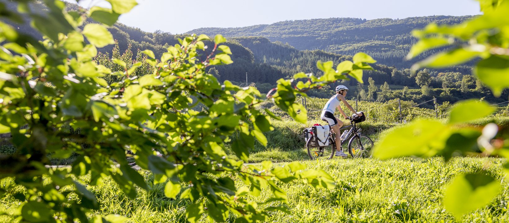 Fietsen over de Donauradweg