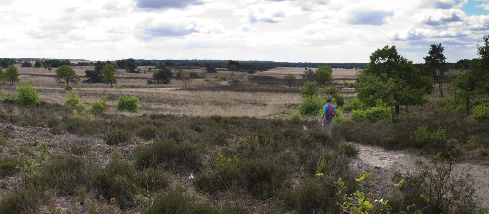 Edelherttrail Wandelroute Veluwe