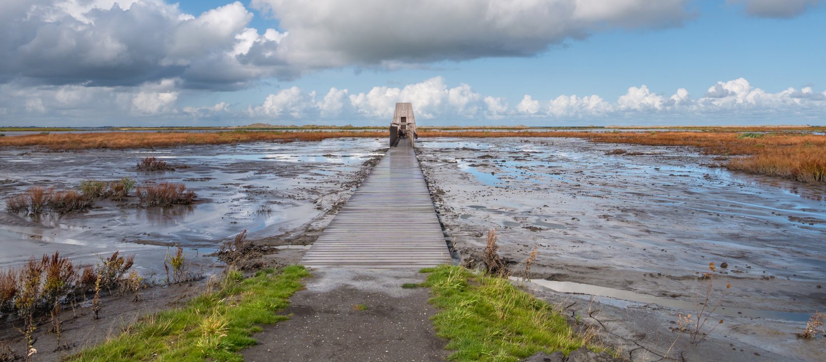 Marker Wadden vogelhut