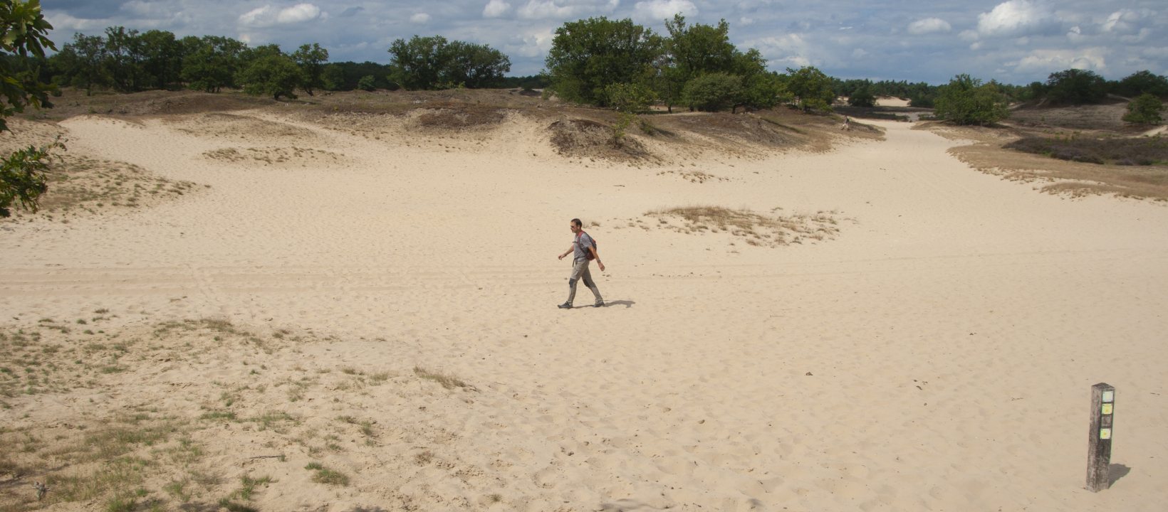 De Brand & Drunense Duinen