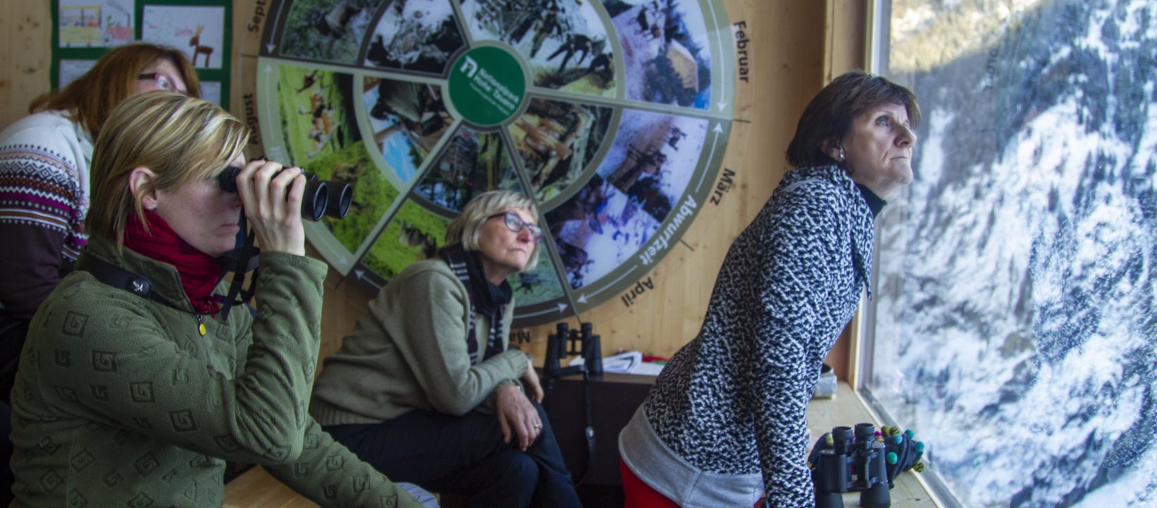 Wild spotten in de Hohe Tauern