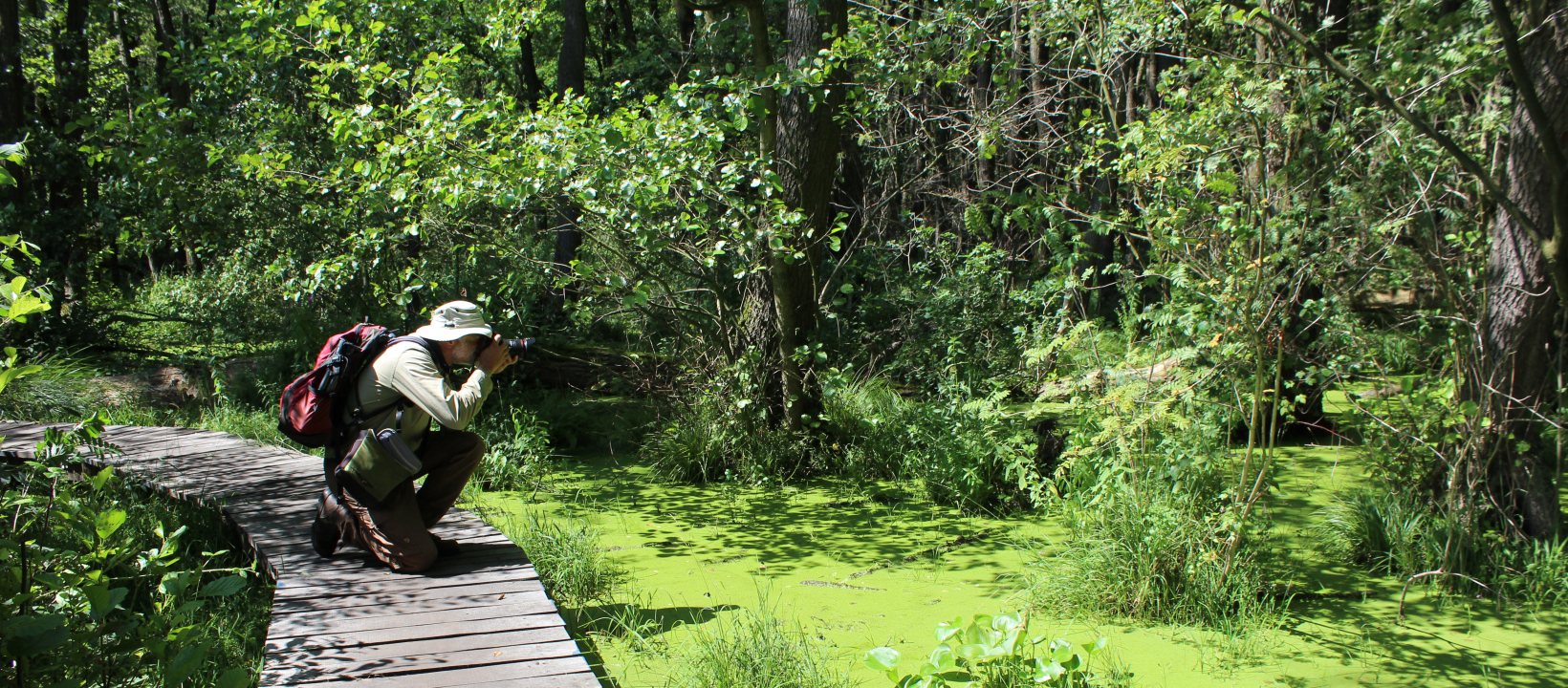 Edelherttrail Traject 3 Maas