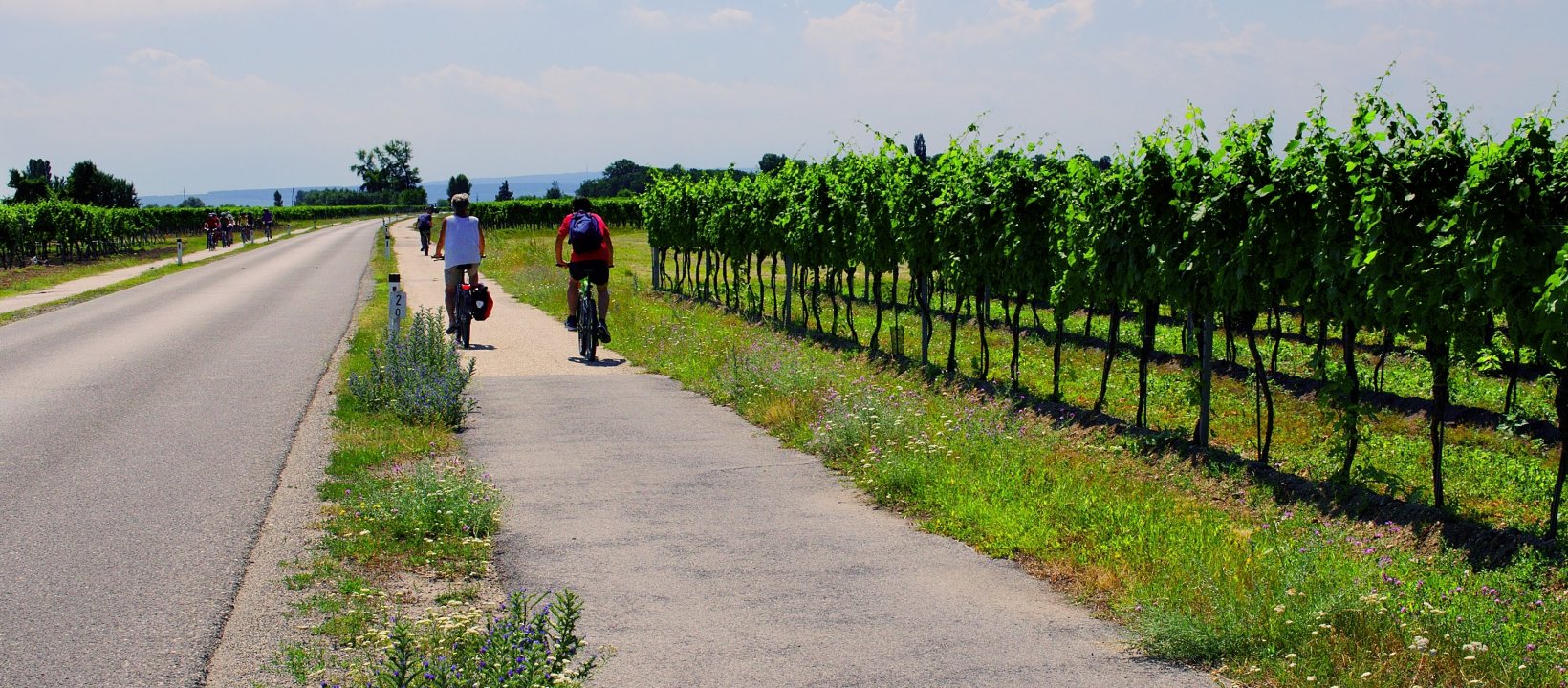 Neusiedler Radweg