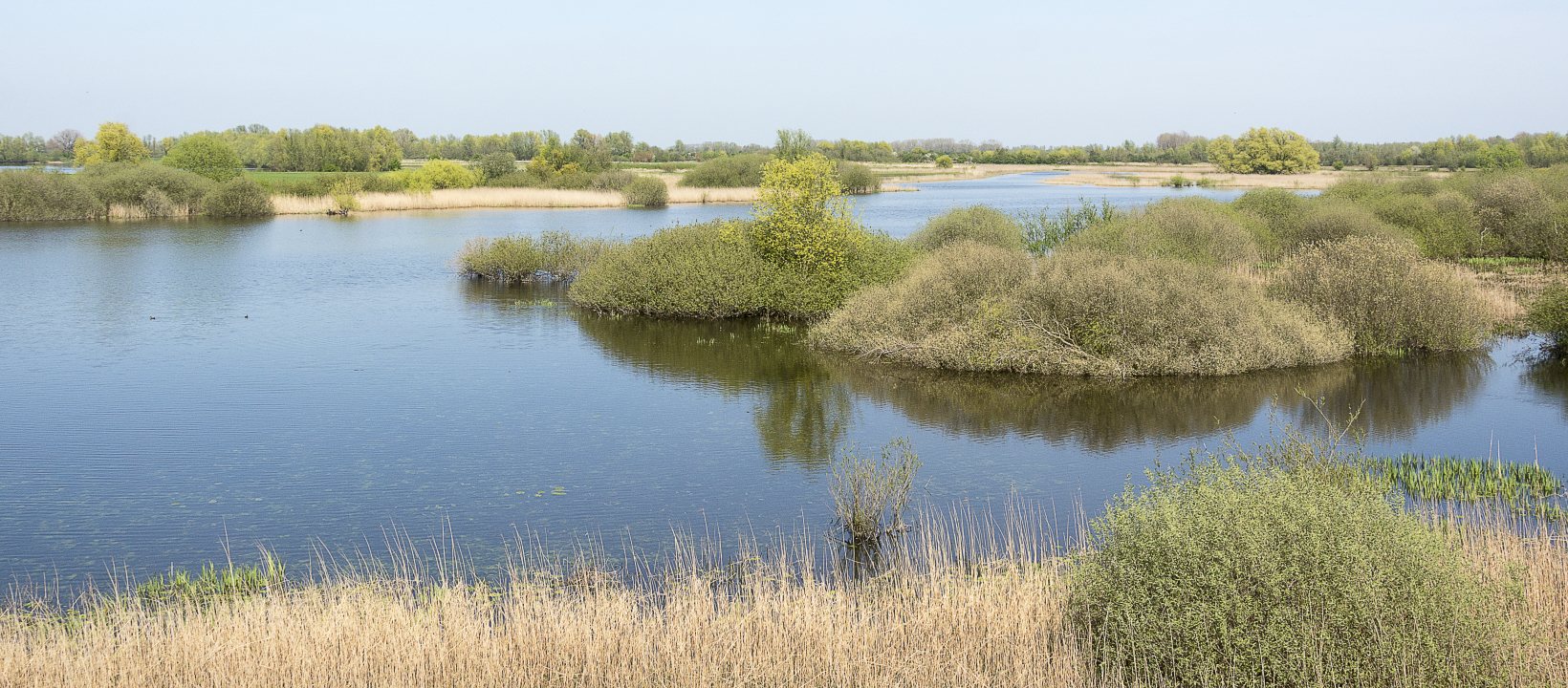 Landschap met de Waal
